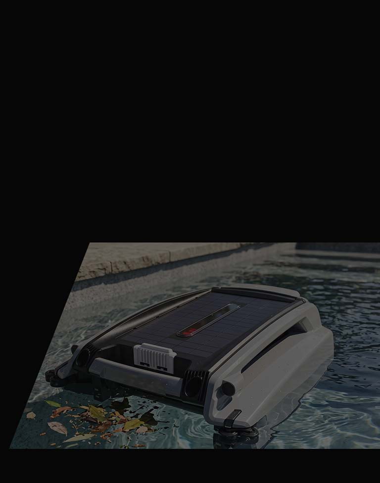 Dolphin Skimmi Solar Pool Skimmer