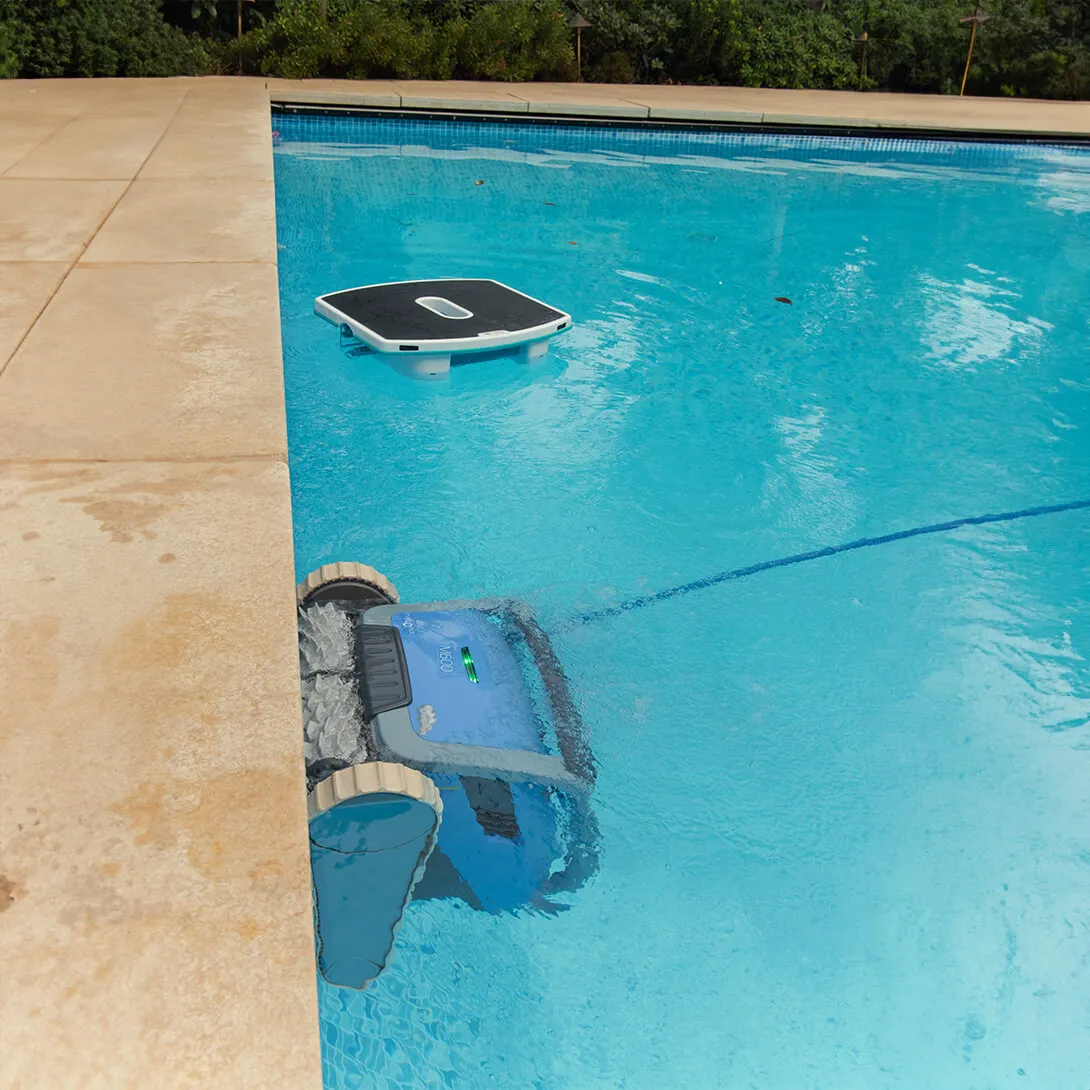 Dolphin Skimmi Pool Compatibility