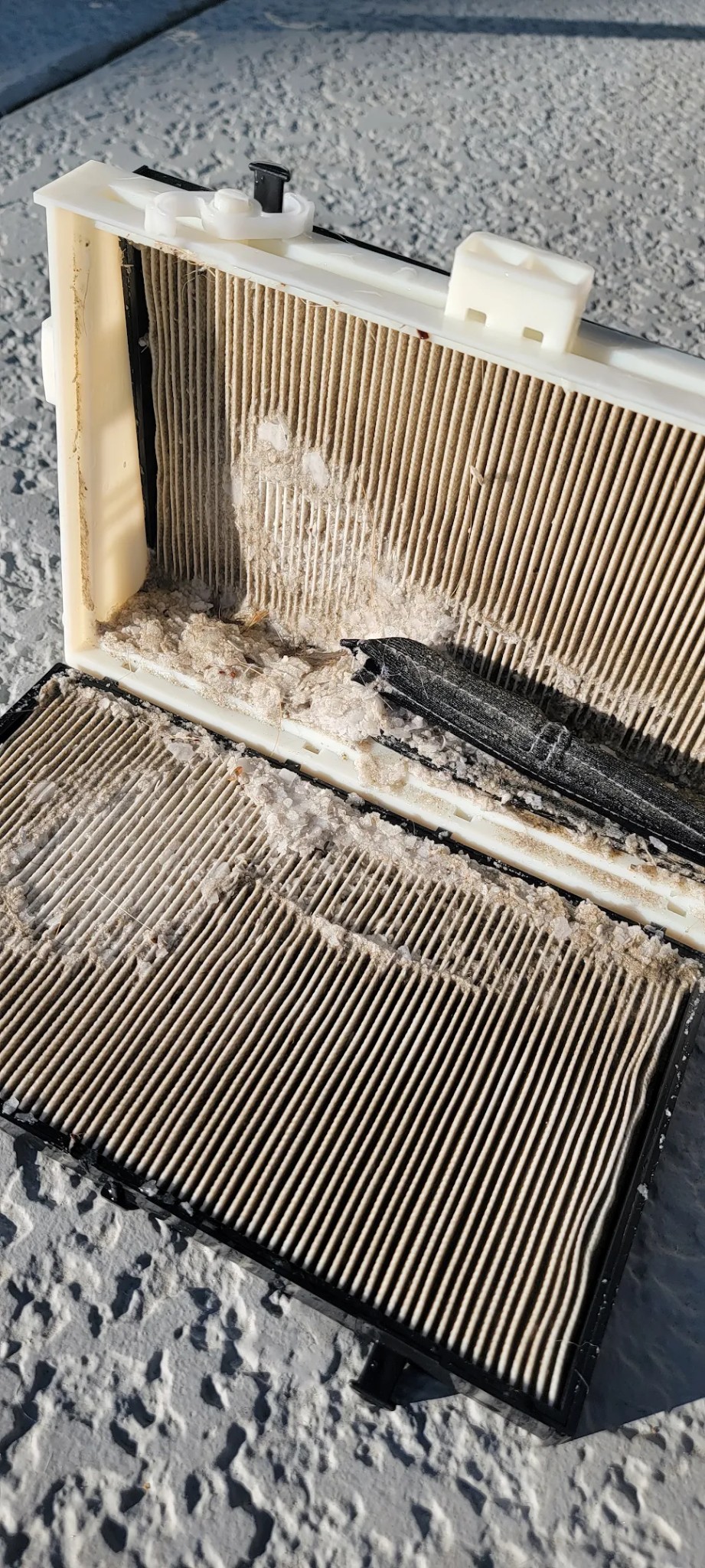 Dirty pool robot filter showing debris