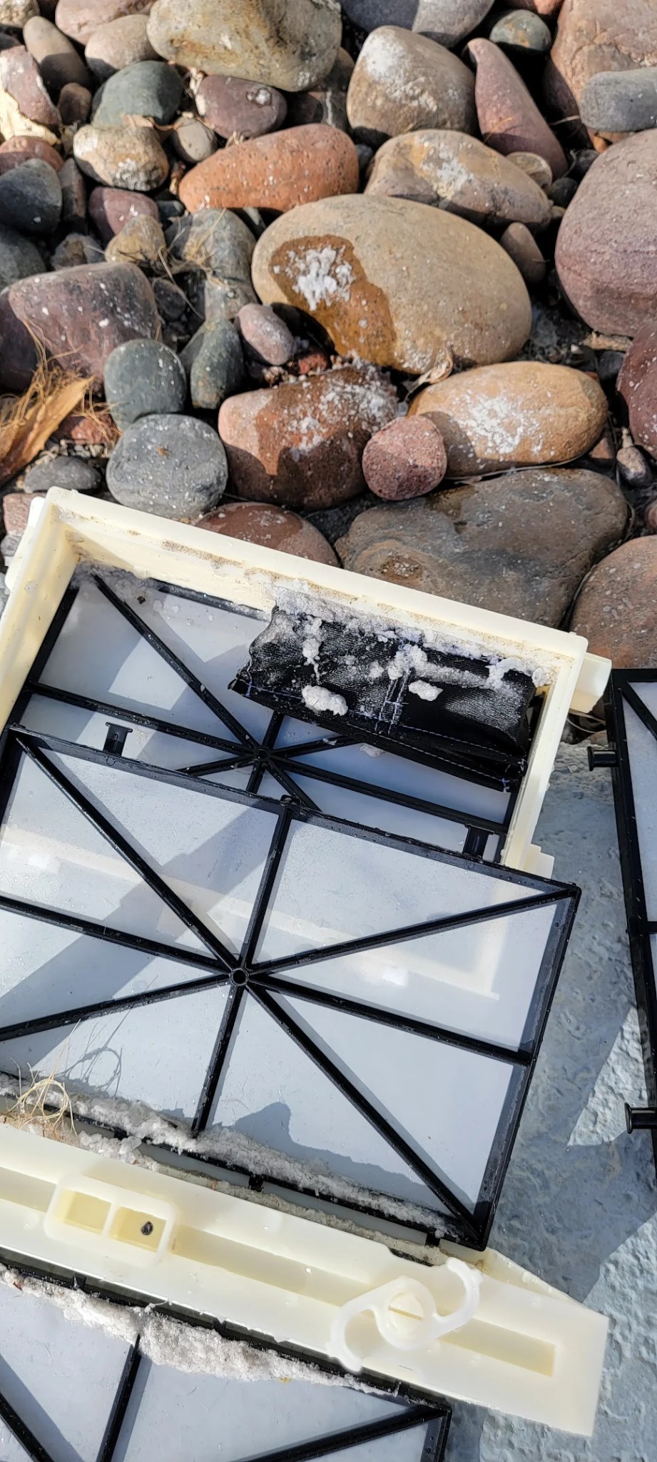 Pool robot filter basket with debris