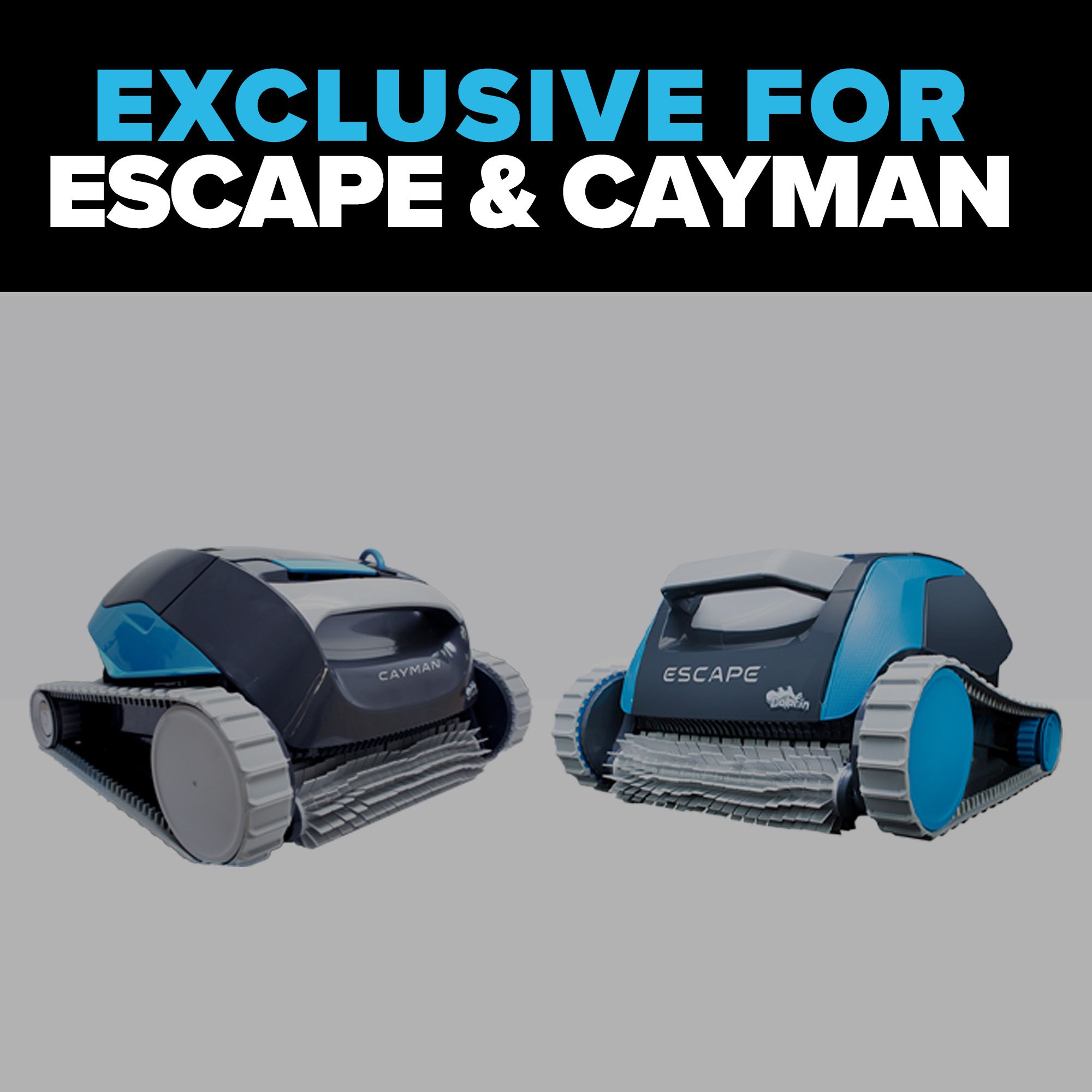 Exclusive for Dolphin Cayman and Dolphin Escape