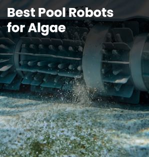 Best Pool Robots for Algae