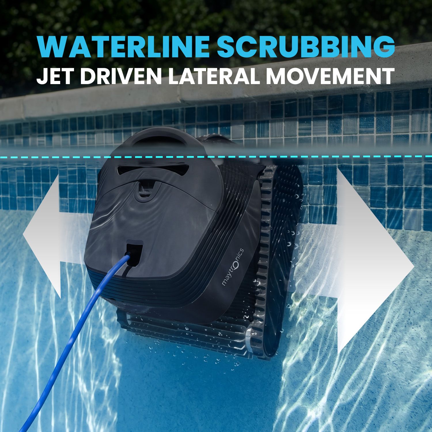 Dolphin Quantum Waterline Cleaning