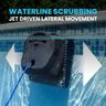 Dolphin Quantum Waterline Cleaning