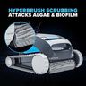 Dolphin Cayman Scrubbing Brushes