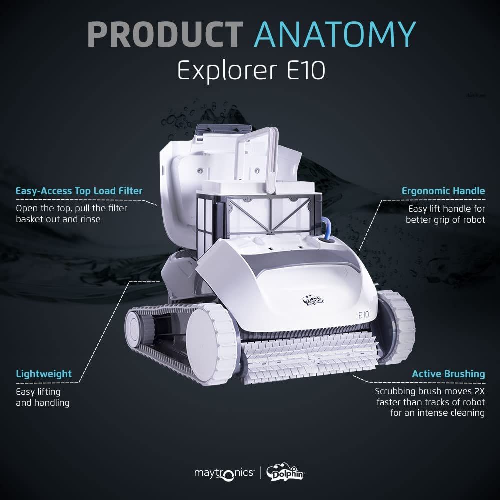 Dolphin E10 Anatomy