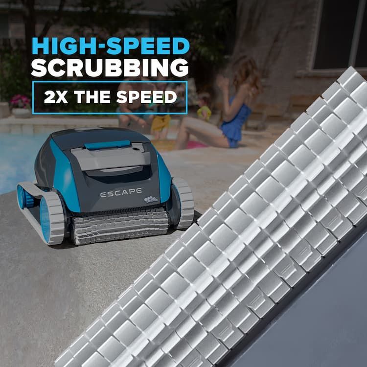 Dolphin Escape High-Speed Brush