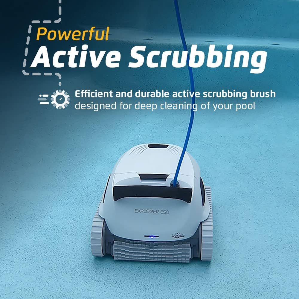 Dolphin Active Scrubbing