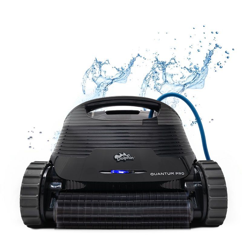 Dolphin Quantum