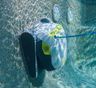 Dolphin T35 Underwater Wall Cleaning 3