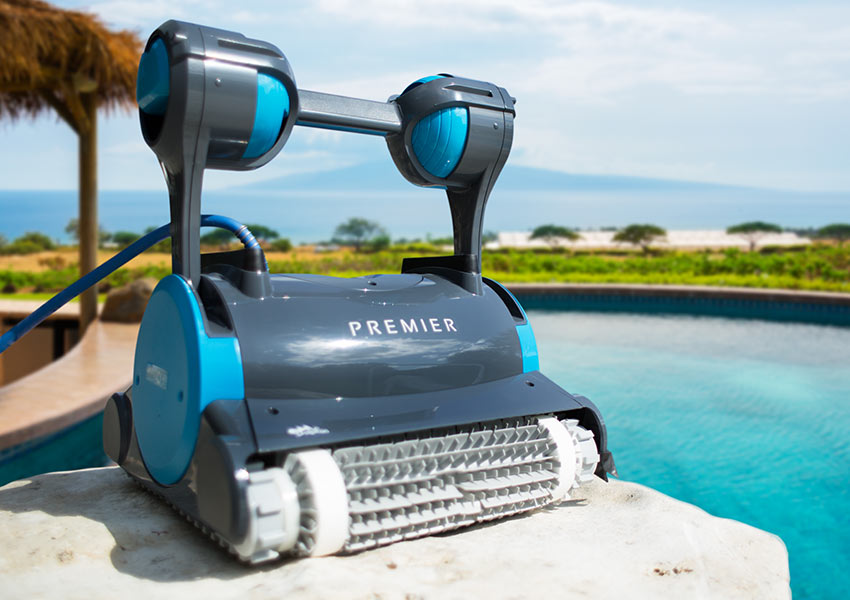 dolphin inground robotic cleaner