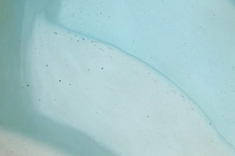Pool Robot Leaving Black Scuff Marks